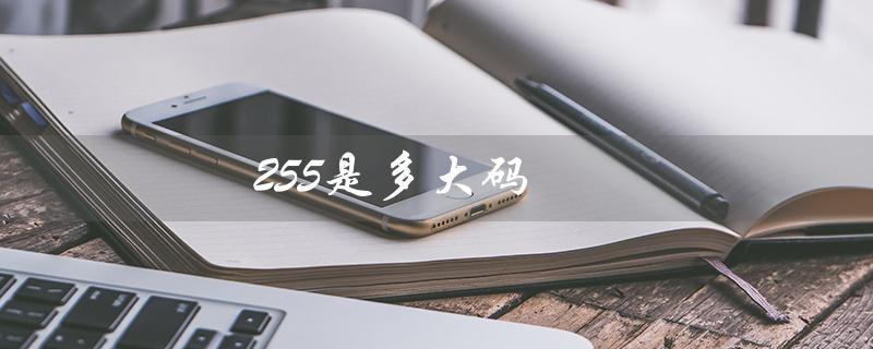 255是多大码（255码男鞋是多大）