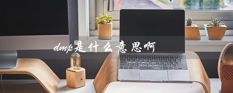 dmp是什么意思啊（电商dmp是什么）