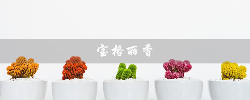 宝格丽香（宝格丽香水是什么）