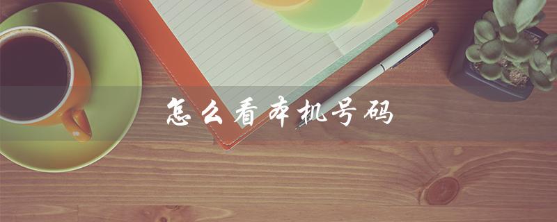 怎么看本机号码（苹果手机本机号码如何查看）