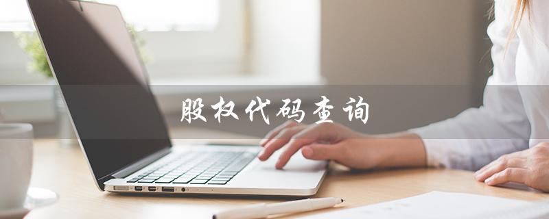 股权代码查询（股权代码查询官网是什么）