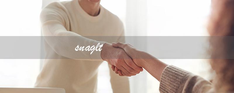 snaglt（Snagit软件有哪些主要功能）