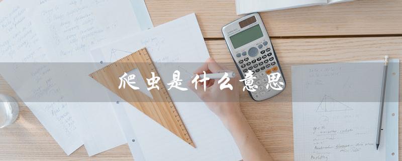 爬虫是什么意思（爬虫技术是什么）