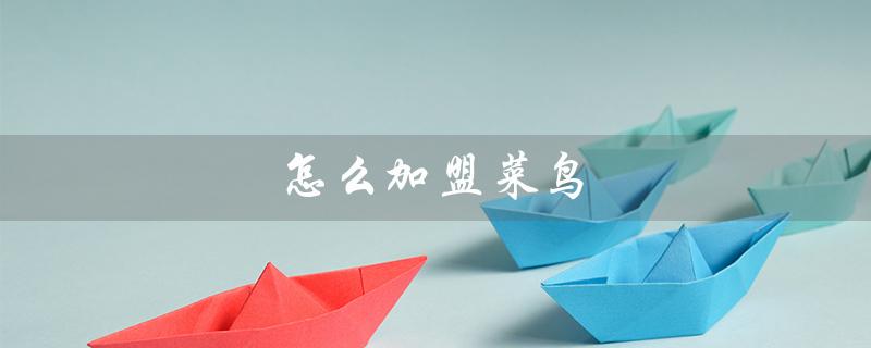 怎么加盟菜鸟（如何加盟菜鸟驿站代收点）