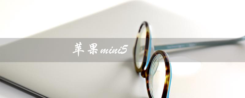 苹果mini5（苹果mini5参数是什么）