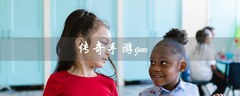 传奇手游gm（传奇手游gm版是什么）