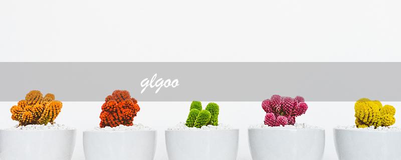 glgoo（什么是glgoo学术镜像）