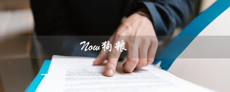 Now狗粮（现在的狗粮好不好）