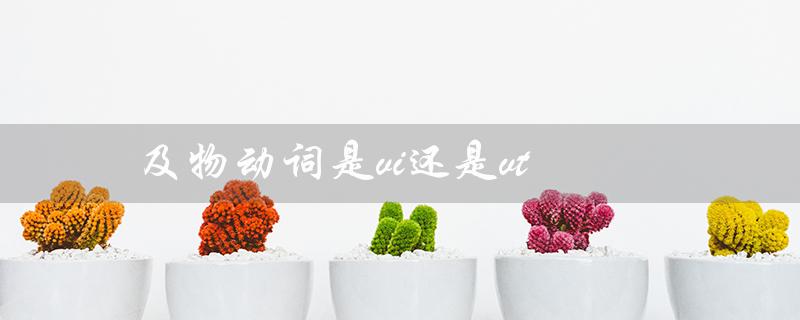 及物动词是vi还是vt