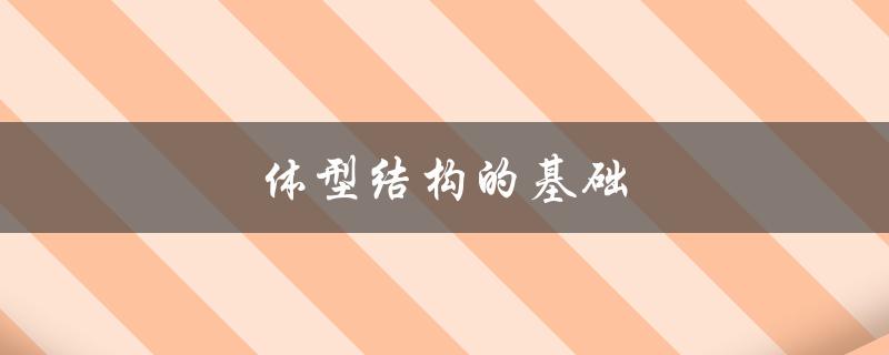 体型结构的基础（人的体型结构是什么）
