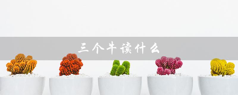 三个牛读什么（三个牛读什么字）