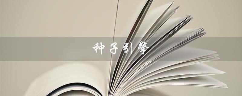 种子引擎（什么是种子引擎搜索）