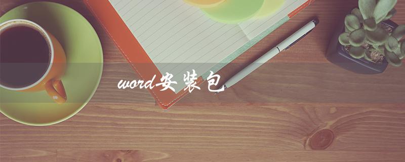 word安装包（word安装包在百度网盘吗）