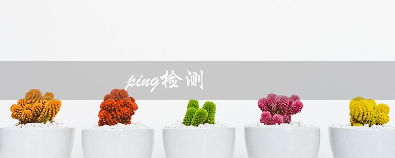 ping检测（ping检测是什么）