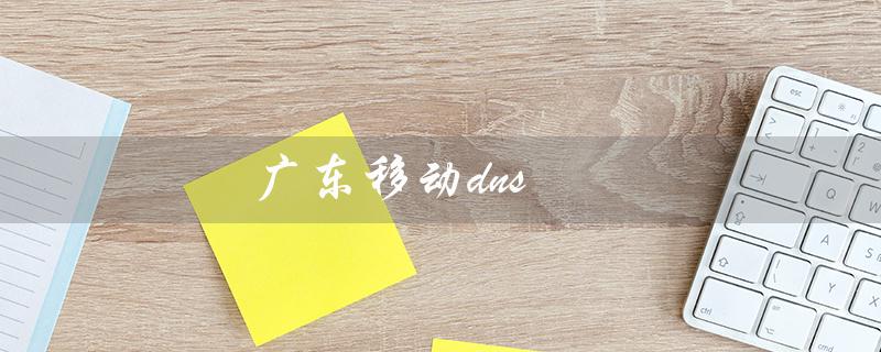 广东移动dns（广东移动DNS填写方式）