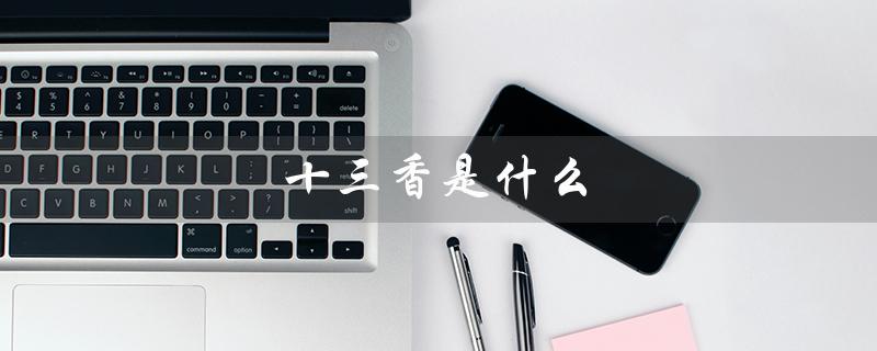 十三香是什么（十三香是什么）