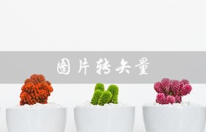 图片转矢量（图片如何转矢量图）