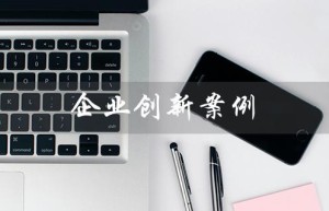 企业创新案例（知名企业创新案例是什么）