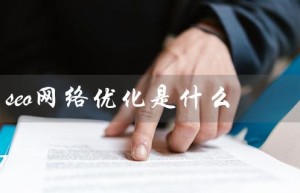 seo网络优化是什么（如何进行SEO网站优化）