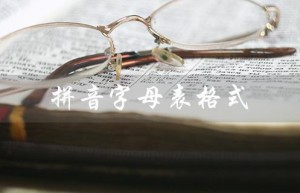 拼音字母表格式（拼音字母表格式是什么）