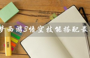 造梦西游3悟空技能搭配最好（造梦西游3悟空最佳技能搭配是什么）