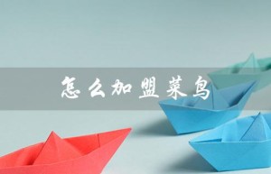 怎么加盟菜鸟（如何加盟菜鸟驿站代收点）