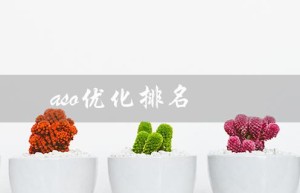 aso优化排名（ASO优化排名的因素有哪些）