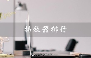 播放器排行（播放器排行榜前十名是什么）