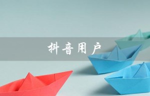 抖音用户（抖音用户数据分析结果）