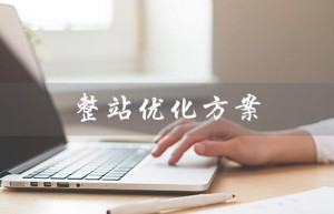 整站优化方案（什么是SEO整站优化）