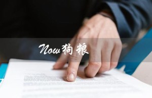 Now狗粮（现在的狗粮好不好）