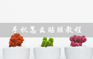 手机怎么贴膜教程（手机贴膜教程视频）