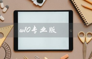 w10专业版（W10家版与专版哪好）