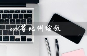 cad等比例缩放（cad等比例缩放操作）