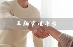 车辆管理平台（公务用车管理平台是什么）