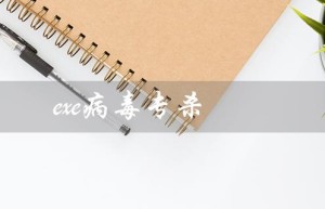 exe病毒专杀（360有没有exe病毒专杀工具）