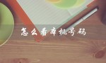 怎么看本机号码（苹果手机本机号码如何查看）