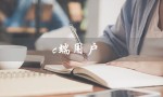 c端用户（C端用户运营是什么）