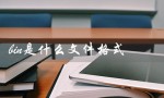 bin是什么文件格式（bin格式文件手机如何打开）