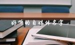 好听的自媒体名字（好听的自媒体名字有哪些）