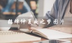 貂蝉仲夏夜之梦图片（貂蝉仲夏夜之梦图片是什么）