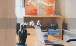 ape格式（ape格式转mp3怎么做）