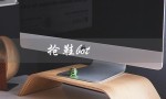 抢鞋bot（什么是抢鞋bot软件）