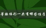 等腰梯形一共有哪些性质（等腰梯形的性质是什么）