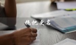 拖把更名（拖把更名器下载在哪下）