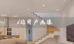 b站用户画像（B站用户画像分析是什么）