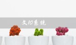 文10系统（如何卸载文10系统软件）