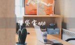 借贷宝app（借贷宝app为何消失）