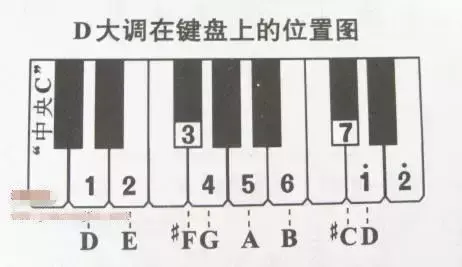 电子琴按键图解（电子琴按键对应简谱）