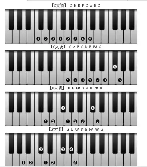 电子琴按键图解（电子琴按键对应简谱）